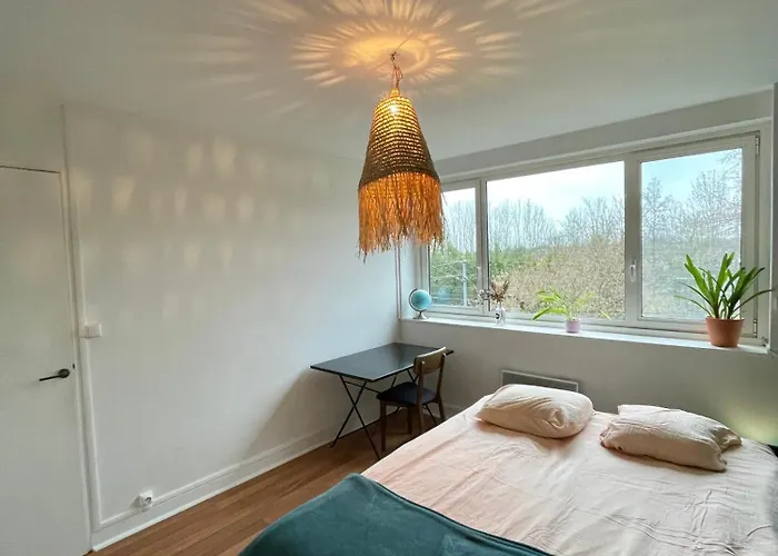 Séjour chez l'habitant Private room in a luminous&spacious appartement Lambersart